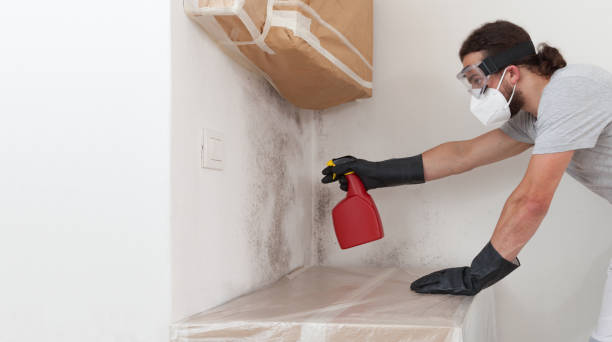 Professional Mold Inspection And Testing technician working in McBain, MI