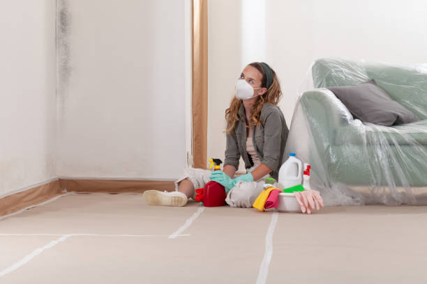 Reliable Mold Inspection And Testing contractor in McBain, MI by 24 Hour Mold Removal